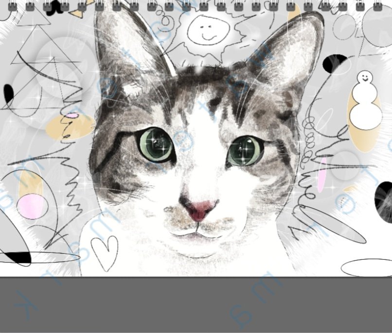 🎁2023 지구별고양이 캘린더 판매 공지(11/30-12/9)🎁

안녕하세요 지구별고양이 2023년 캘린더 판매 소식을 전합니다 :)
서툰 그림이지만 지구별 아이들을 모델로 그린 그림들로 열두달 따숩게 채워 만든 하나뿐인 달력이라 많은 분들과 나누고 싶어 온라인 판매를 진행합니다😊