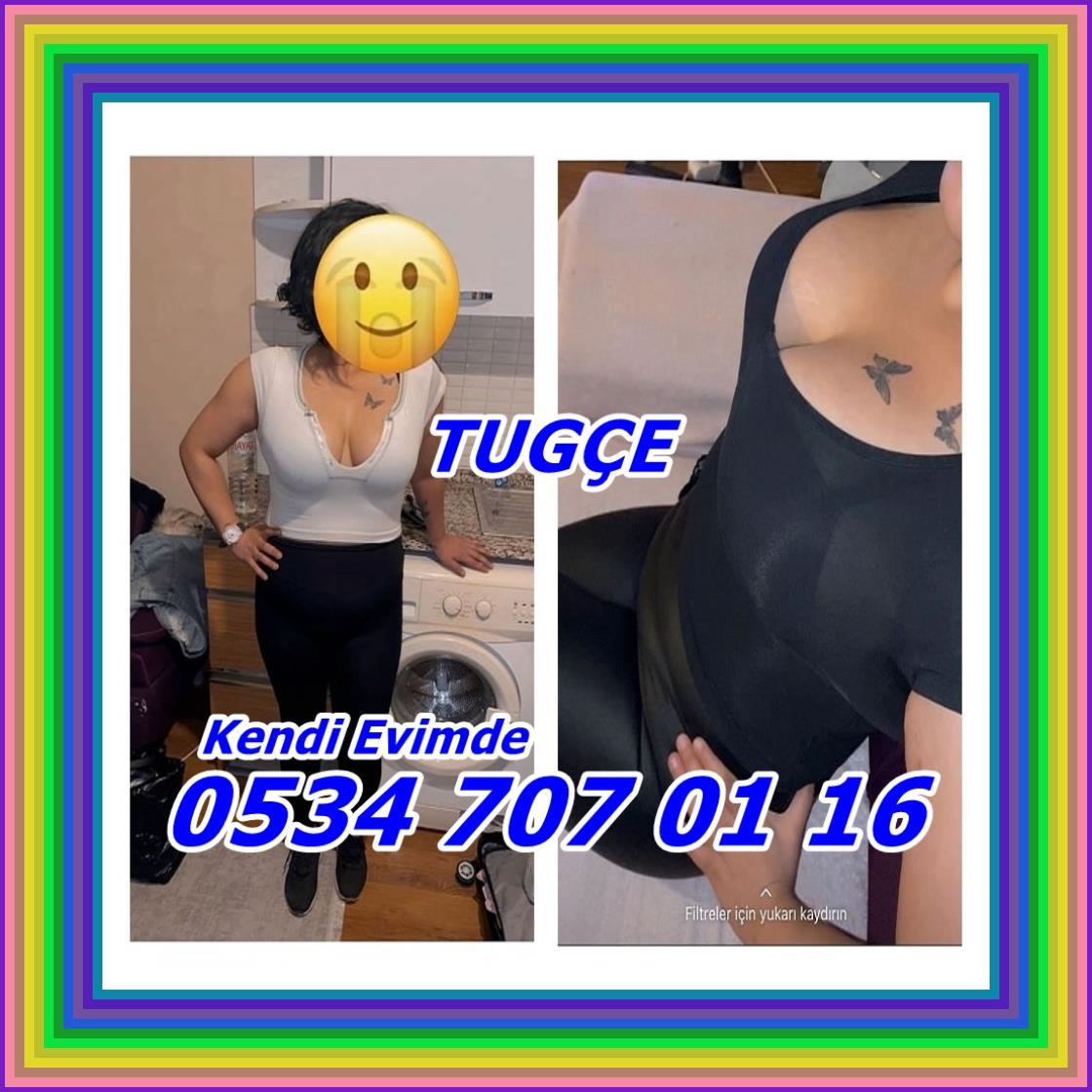 Chilly Pigs NFT (@chillypigs) on Twitter photo 