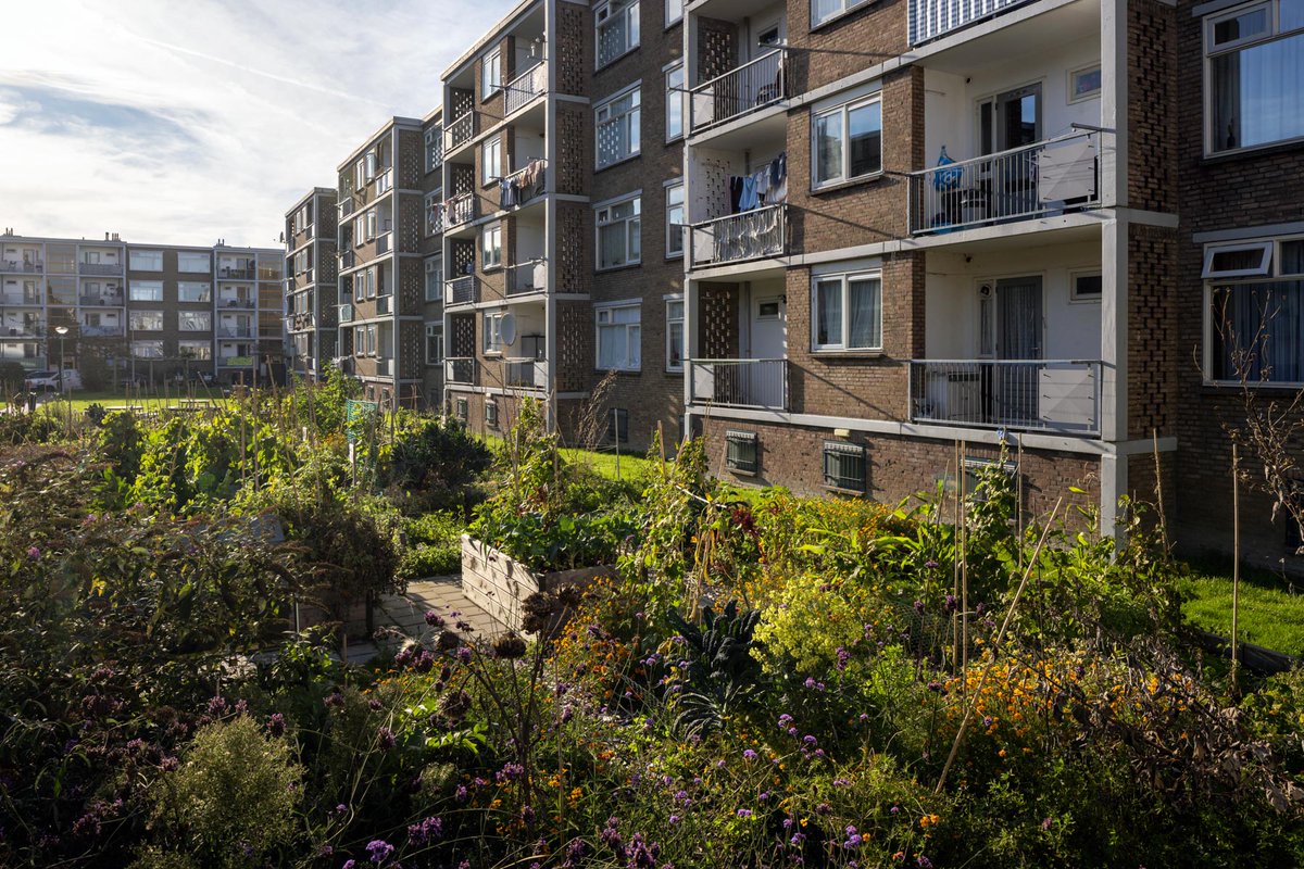 Stem op je favoriete plekken voor de Haagse Openbare ruimte Prijs HOP stadmakerseditie. Bekijk de 15 prachtige projecten: platformstad.nl/hop/inzendinge… tot 5 december: