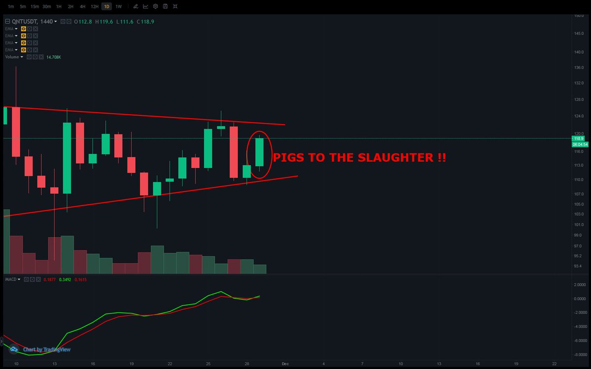 billc062's tweet photo. $QNT #PONZI SCAM ARTISTS WILL MAKE THE PIGS BLEED 

THE CHART DOES NOT LIE

BLOOD WILL BE SHED AND MANY WILL SUFFER
🐷🐷🐷🐷🔪🔪🔪🔪🔪🩸🩸🩸🩸🩸🩸🩸 https://t.co/rpdahvZP9L