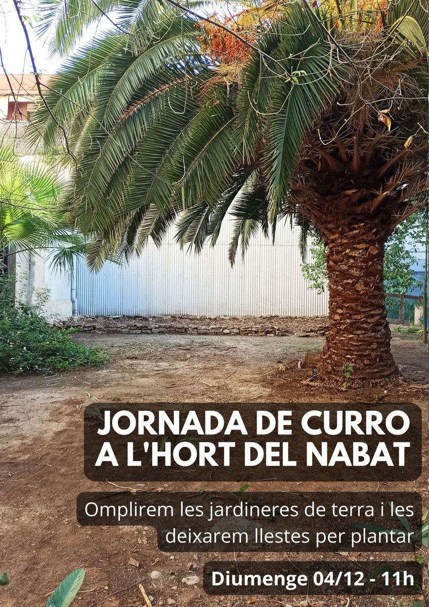 CSO Nabat 3 tweet media