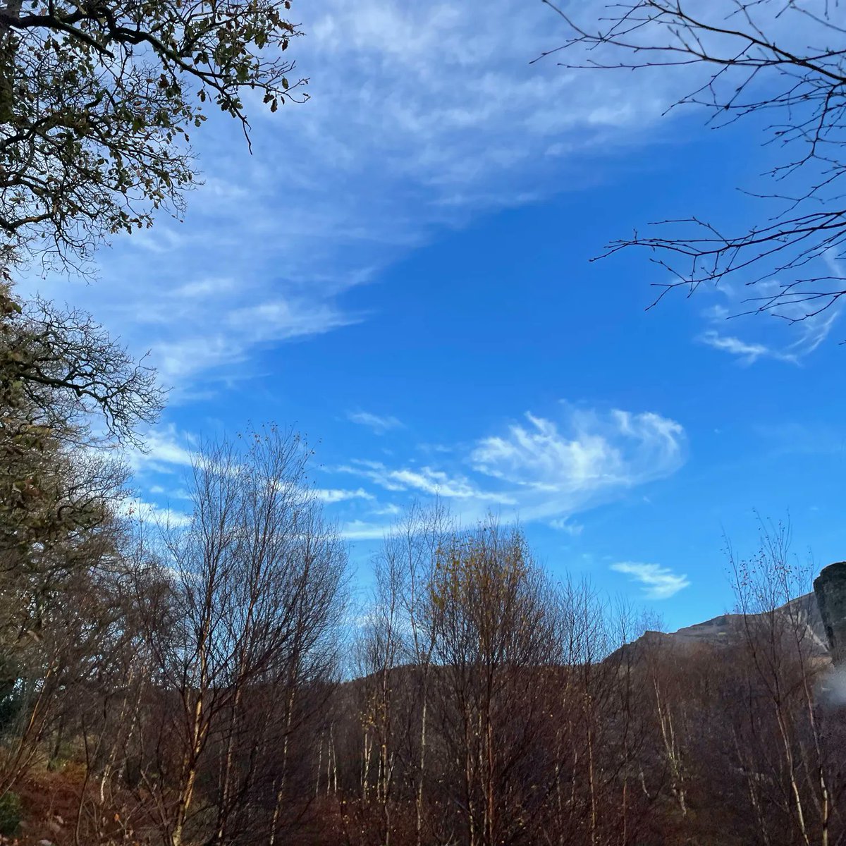RCSwales's tweet photo. Blue skies and festive coffees on staffโs #WellbeingHour this week โ๏ธโ๏ธโ๏ธdaylight and caffeine - both so good for the soul! #WellbeingWednesday
Awyr las a choffi Nadoligaidd ar #AwrLles staff yr wythnos yma โ๏ธโ๏ธ โ๏ธ golau dydd a coffi- maeโr ddau yn dda i'r enaid! https://t.co/7NdoH5eWcx