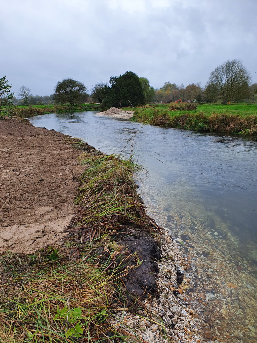 The presence of tufa (calcium carbonate precipitate) is often a symptom of a degraded river. Re-introducing gravel will re-instate a more natural channel profile, providing excellent habitat for a wide range of chalk stream flora and fauna #RiverRestoration #WillTravelForGravel