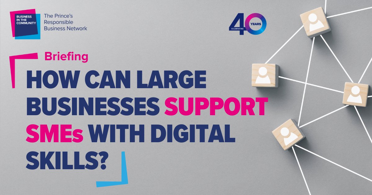 How can large businesses support #SMEs with #DigitalSkills? There is a gap between the UK’s digital skills & those required by businesses - esp. for SMEs.😟Find out more by downloading our free briefing which also includes top tips for large businesses 💻 bitc.org.uk/fact-sheet/how…