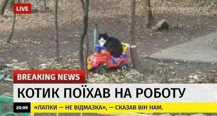 tse_ne_ia's tweet photo. Ладно, пора https://t.co/50OLUePQiu