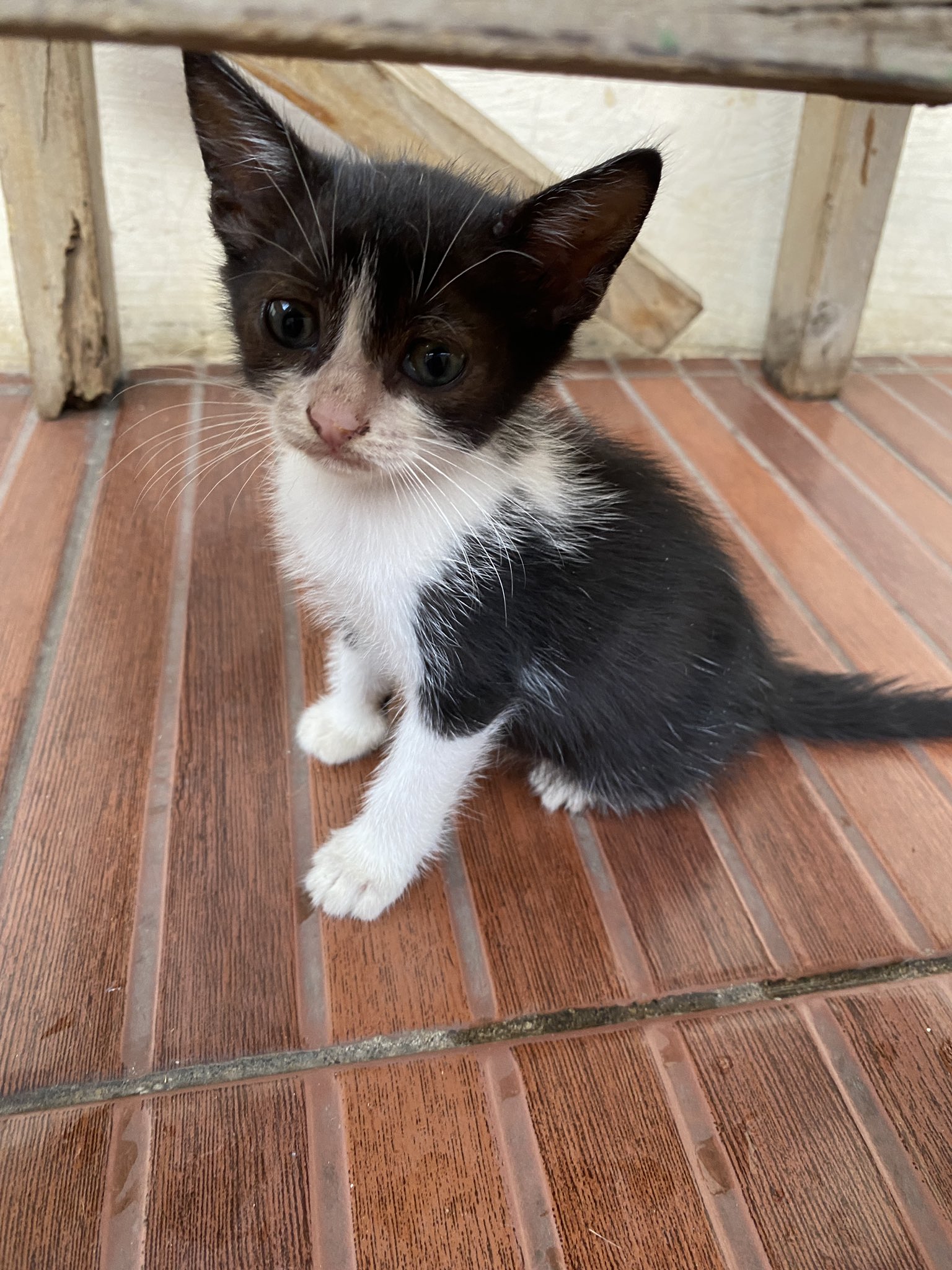 ð on Twitter: "spill ð‍⬛ kaya gini dong mba kalo dah gede ky gimana