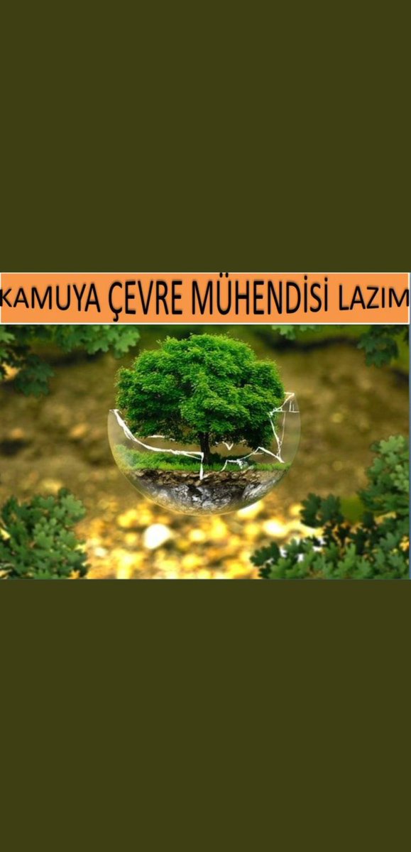 baharr0405's tweet photo. @csbgovtr Kamuda çok fazla ÇEVRE MÜHENDİSİ eksiği mevcut atanmayı bekliyoruz sayın @murat_kurum https://t.co/oAPZmUQnG5