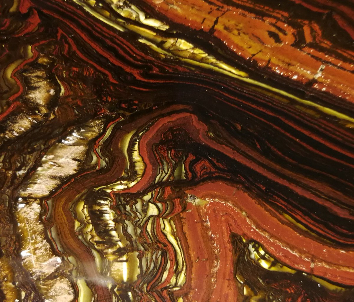 Banded ironstone otherwise called tiger iron, this bit is from Australia laid down originally in the first great pollution incident when oxygen built up seasonally from simple plants around 2.5 billion years ago. And it has been metamorphosised too. A good geology icon. #geology