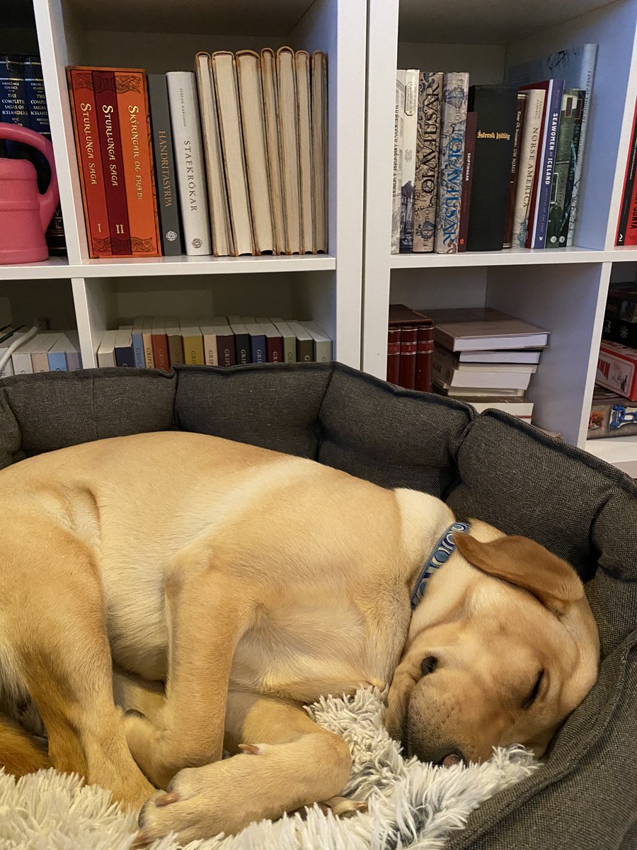 Dr Emily Lethbridge tweet media