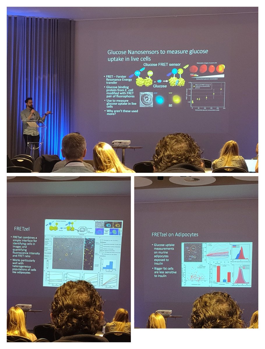 Ruth Walker (@ruth_walks) on Twitter photo Great to hear more about FRETzel by <a href="/a_wollman/">Adam Wollman</a> #NUBILive: an innovative open source programme that can be used to analyse FRET data and it's innovative use in glucose sensing showing bigger fat cells are less insulin sensitive <a href="/nubiosciences/">@NUBiosciences</a> #FRET #diabetes Great to hear more about FRETzel by <a href="/a_wollman/">Adam Wollman</a> #NUBILive: an innovative open source programme that can be used to analyse FRET data and it's innovative use in glucose sensing showing bigger fat cells are less insulin sensitive <a href="/nubiosciences/">@NUBiosciences</a> #FRET #diabetes
