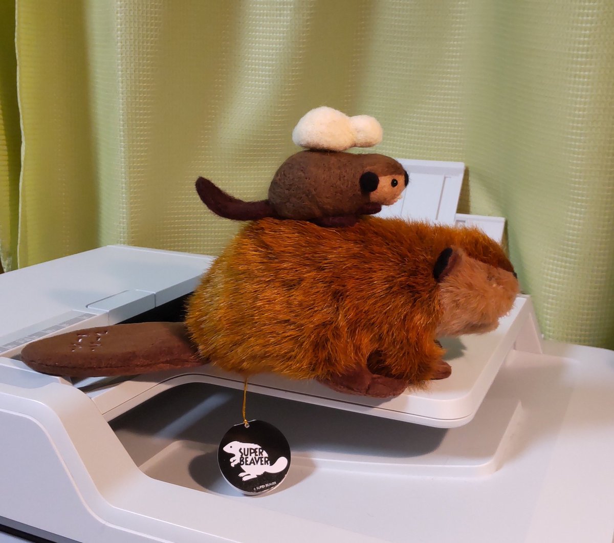 スーパービーバーちゃん