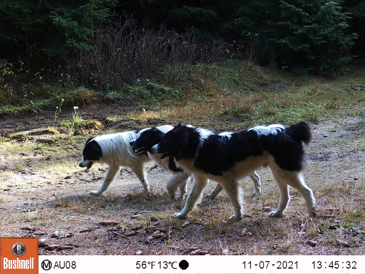 Beth Smith tweet media