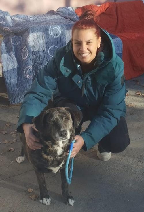 CAAD MOIANÈS tweet media