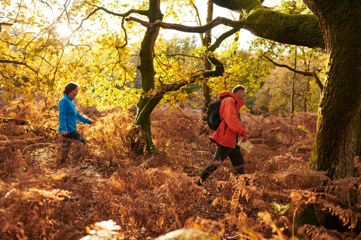 When we have more access to nature, we are healthier, more connected to nature &amp; more environmentally aware.

That’s why we’re supporting the <a href="/RamblersGB/">RamblersGB</a> campaign to expand the #FreedomToRoam.

Find out more: bit.ly/Freedom-To-Roam