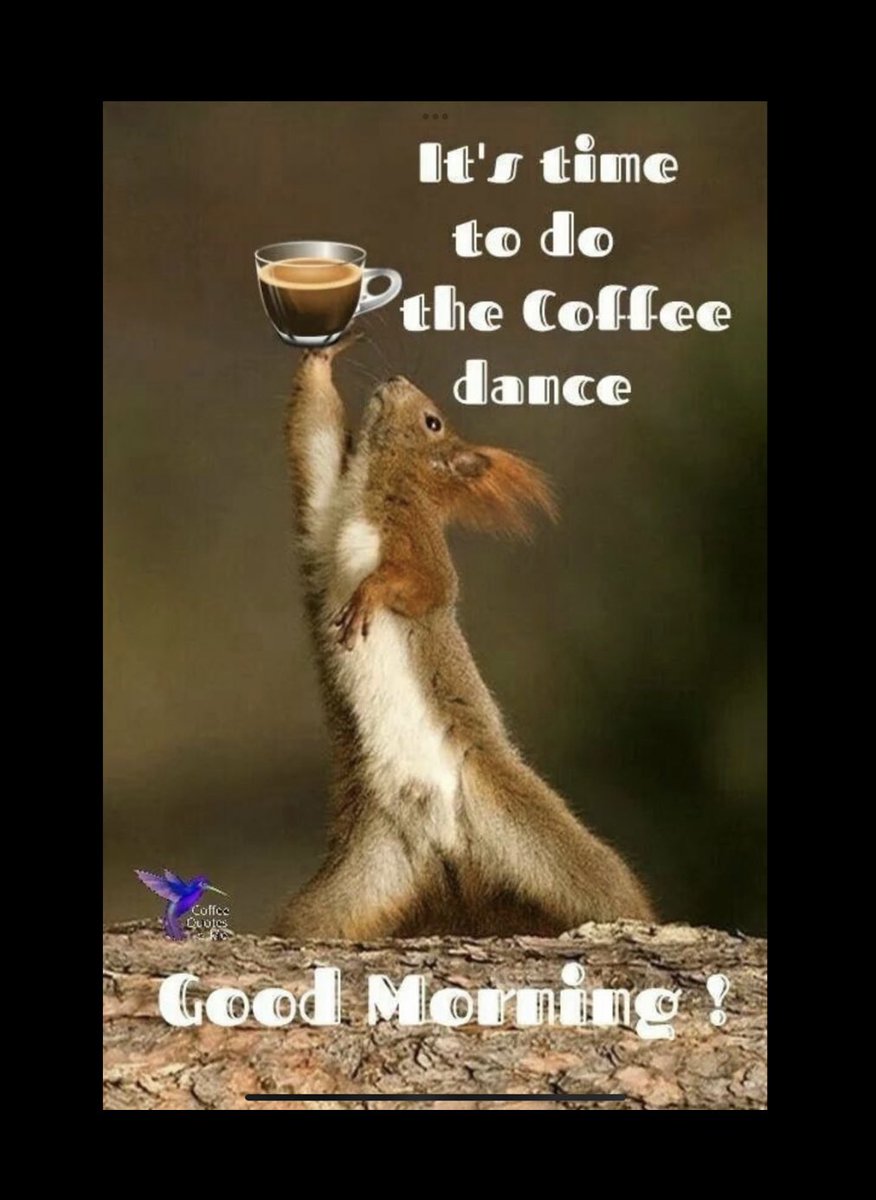 schmoozequeen's tweet photo. #GoodMorning☕️#CoffeeTime 
#CoffeeDance 💃🐿 #JavaJetFuel https://t.co/SD32TT0dbx