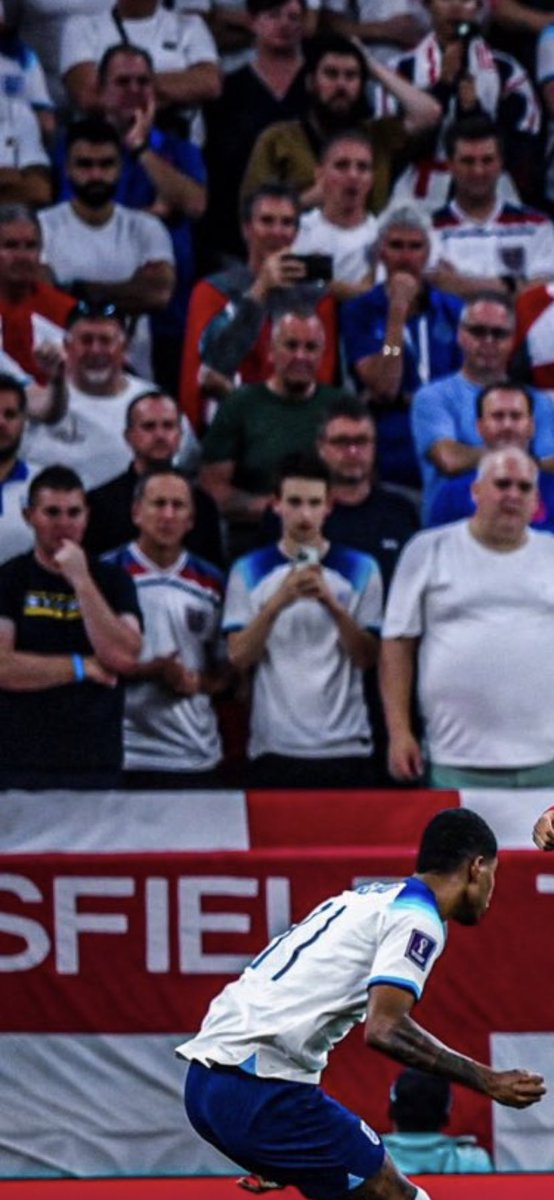 Harrywallace21's tweet photo. @beanhardon Thog(den/dad) watching over 🙌 https://t.co/fcXuWBYvcm