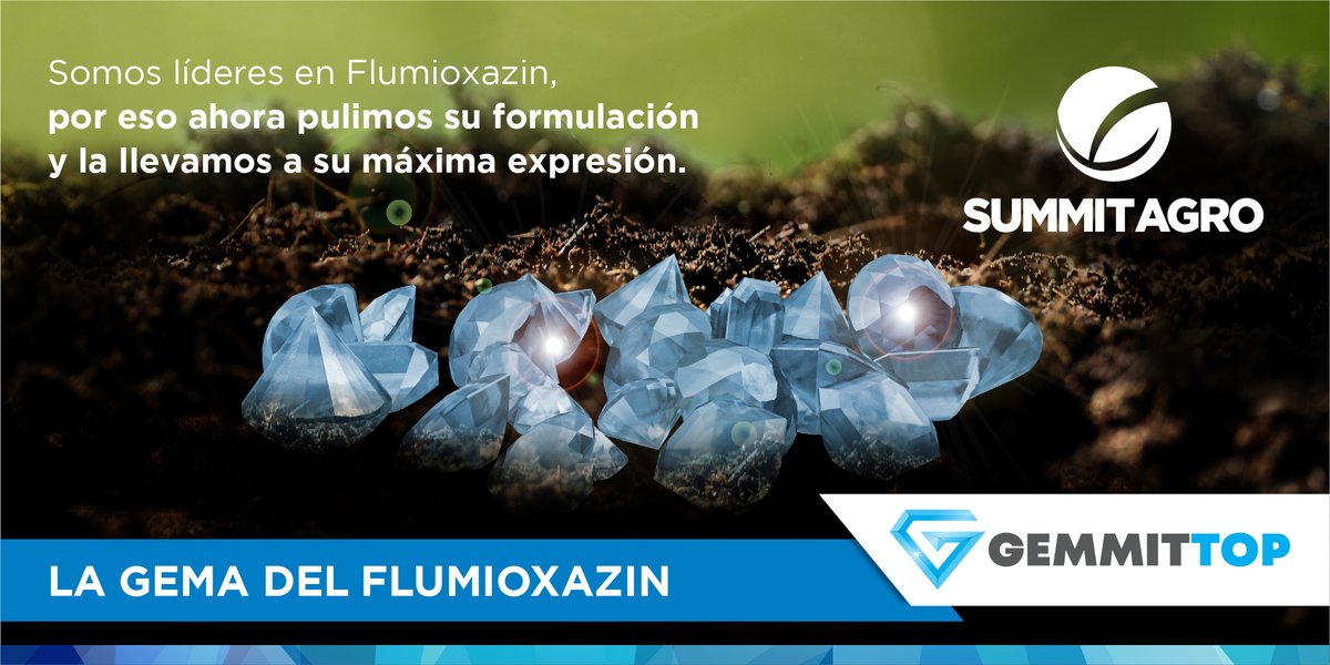SummitAgroAr's tweet photo. 💎 La gema del flumioxazin: Gemmit Top. 💎
🔝 Una fórmula micronizada en partículas aún más pequeñas y de una homogeneidad superior. Para asegurarte combatir las malezas. Y garantizarte que, mejor opción, no existe.
🖱 https://t.co/kq8MhyESOL
#GemmitTop #Flumioxazin https://t.co/pUsXXVS9Is