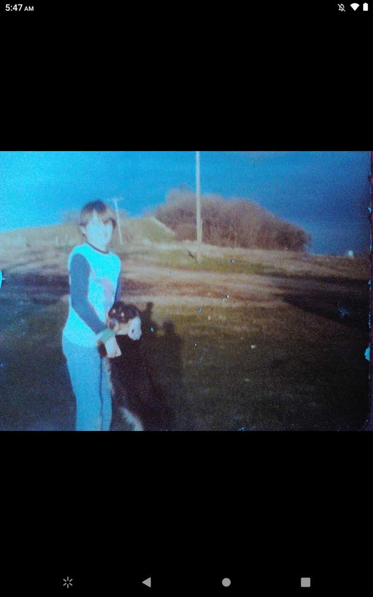afks01's tweet photo. @ZelinaVegaWWE My dad used to say Jerry McCaslin's Delilah was the best cow dog he ever met. https://t.co/3OlR37YXpx