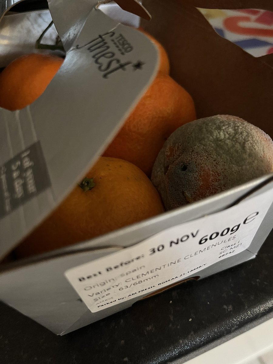 Empress2976's tweet photo. @Tesco was not expecting this when I opened the box today. Think I bought this box at the weekend, probably mouldy already. Not great for your Finest range! https://t.co/bK964ODsBC