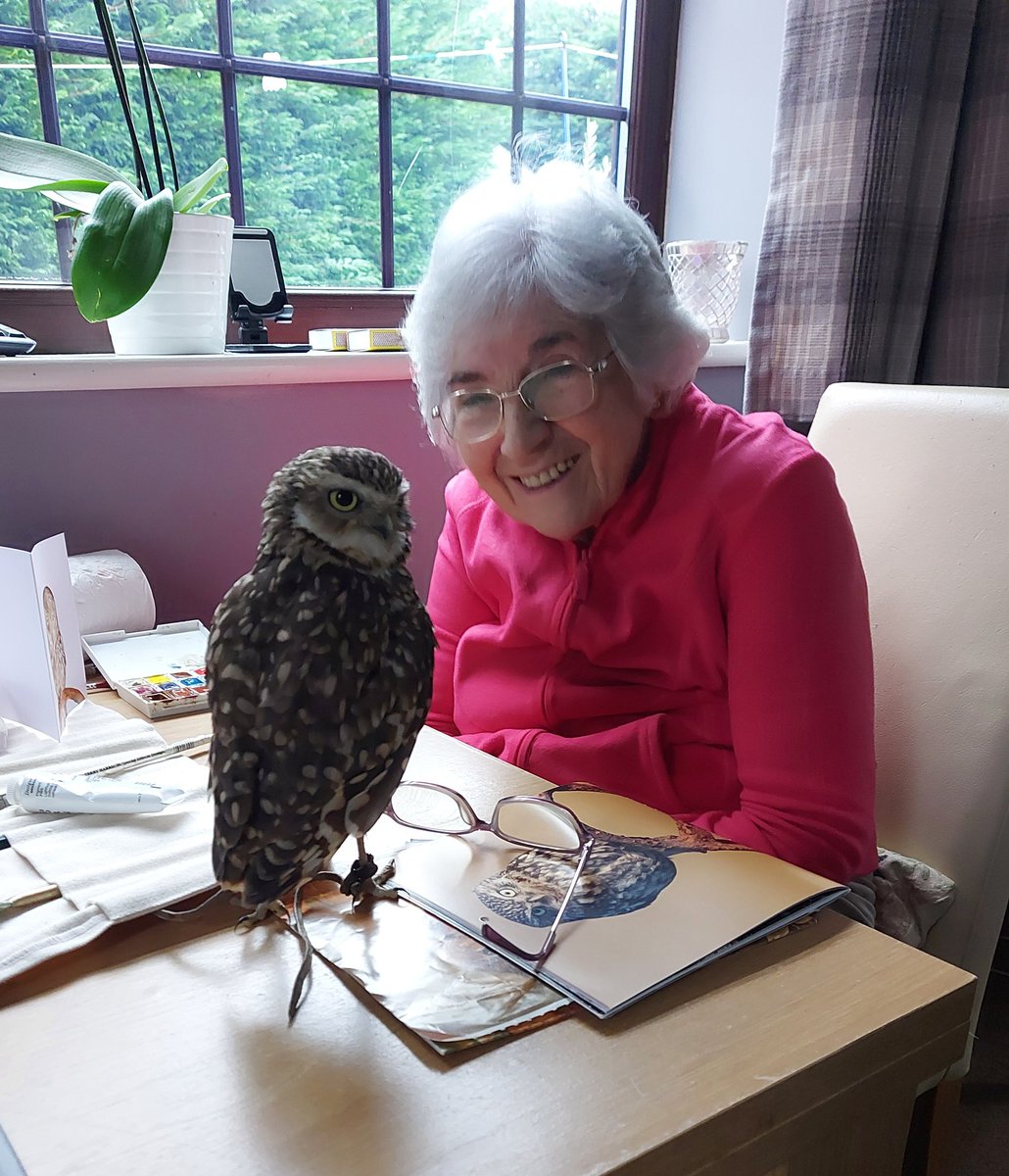 Granny Meg is painting owls so I'm helping out as a subject matter expert 🤣🦉😍 #owls #Owl #burrowingowl #grannymeg #artist #art #Watercolourpainting