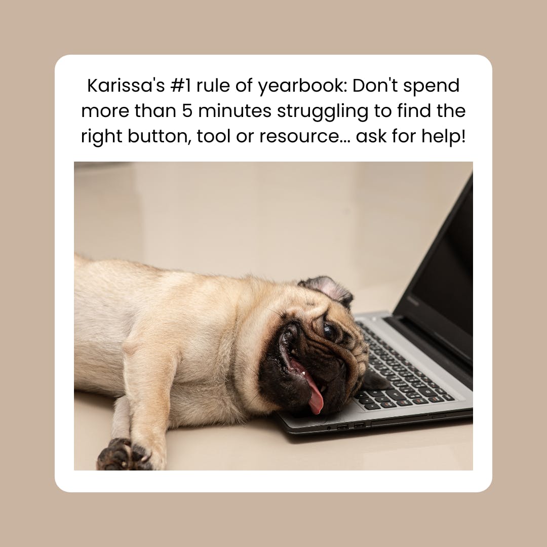 PAYearbookGals's tweet photo. My all-star yearbook team and I are always here to help! Don't ever feel like you need to power through. Start by searching your email and Yearbook Avenue for the answer(s), but if you can't find it after five minutes, give a yell. We would love to assist. #yearbooklove https://t.co/XH4CEolrZj