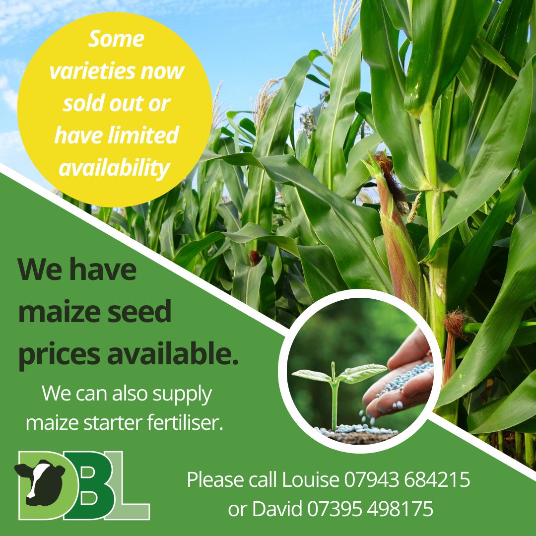 DBLBuyingGroup's tweet photo. Is it Too Early to Think about Next Year’s Maize Harvest?  Read more ........ https://t.co/MLodYIe5mA https://t.co/XZm9NxbQir