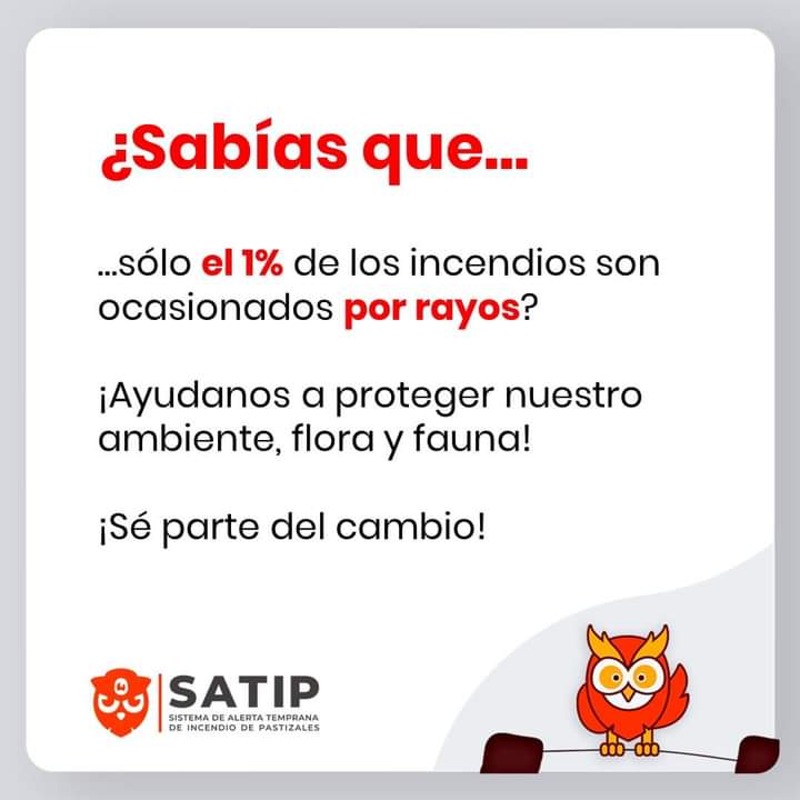 Erica Colombani tweet media