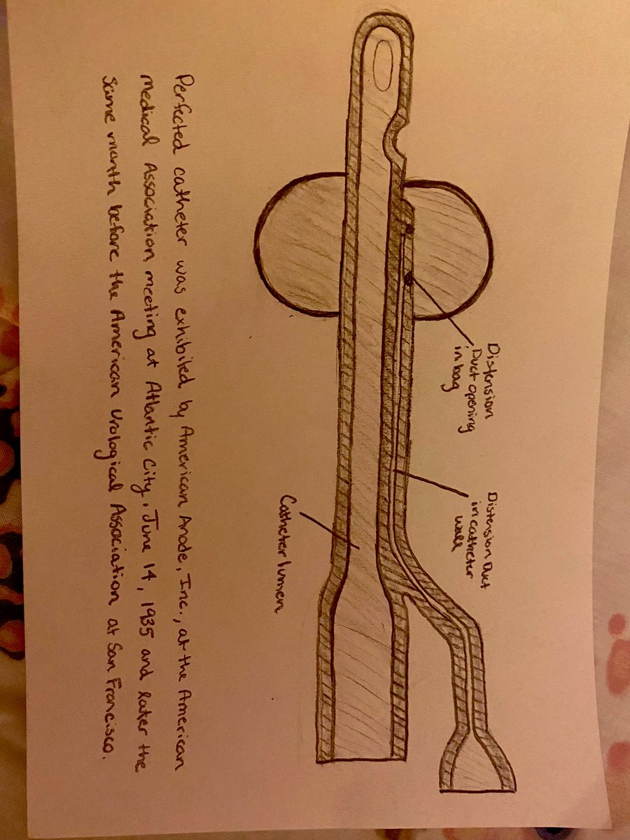 BrookeKoebele's tweet photo. I’ve spent the last two weeks on a history of medicine elective and I had the opportunity to utilize my sketches to present on the history of urology and catheters today! Inspiring to read about how far the field has come!  #match2023 #uromatch #UroSoMe https://t.co/ap2xuc9ArP