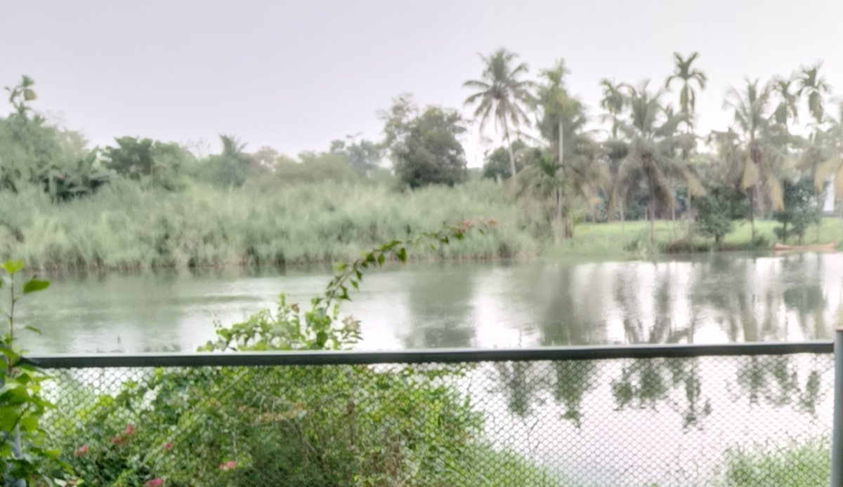 kadaluniverse's tweet photo. முதல்ல போயி இட்லீ சாப்டனும்
#அன்பே_இட்லீ
#Back2Land https://t.co/PgI0ULWcJf
