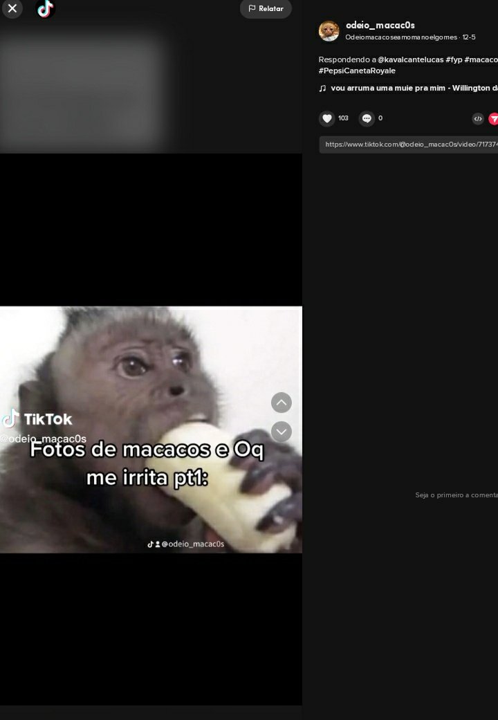 macacosgeral's tweet photo. Sei que faz tempo que não apareço aqui mas tenho assunto a tratar, essa pagina no tiktok está espalhand ódio gratuito a toda população de macacos sem motivo algum, por favor peço com compaixão que denunciem sem engajar, os macacos merecem respeito e não cyberbullying 😔(link ⬇️) https://t.co/t8AIoXNT40