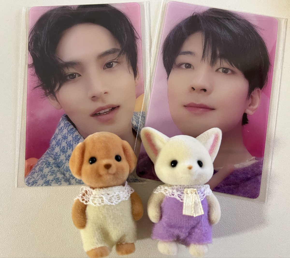 ebichan_ebibi's tweet photo. かわいい🤎💜 https://t.co/AJS4Y7JPNX