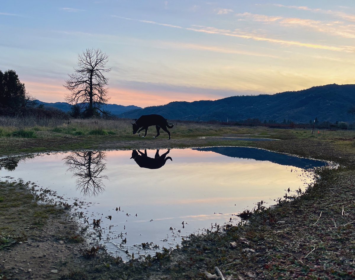 Wednesday evening in Ukiah.