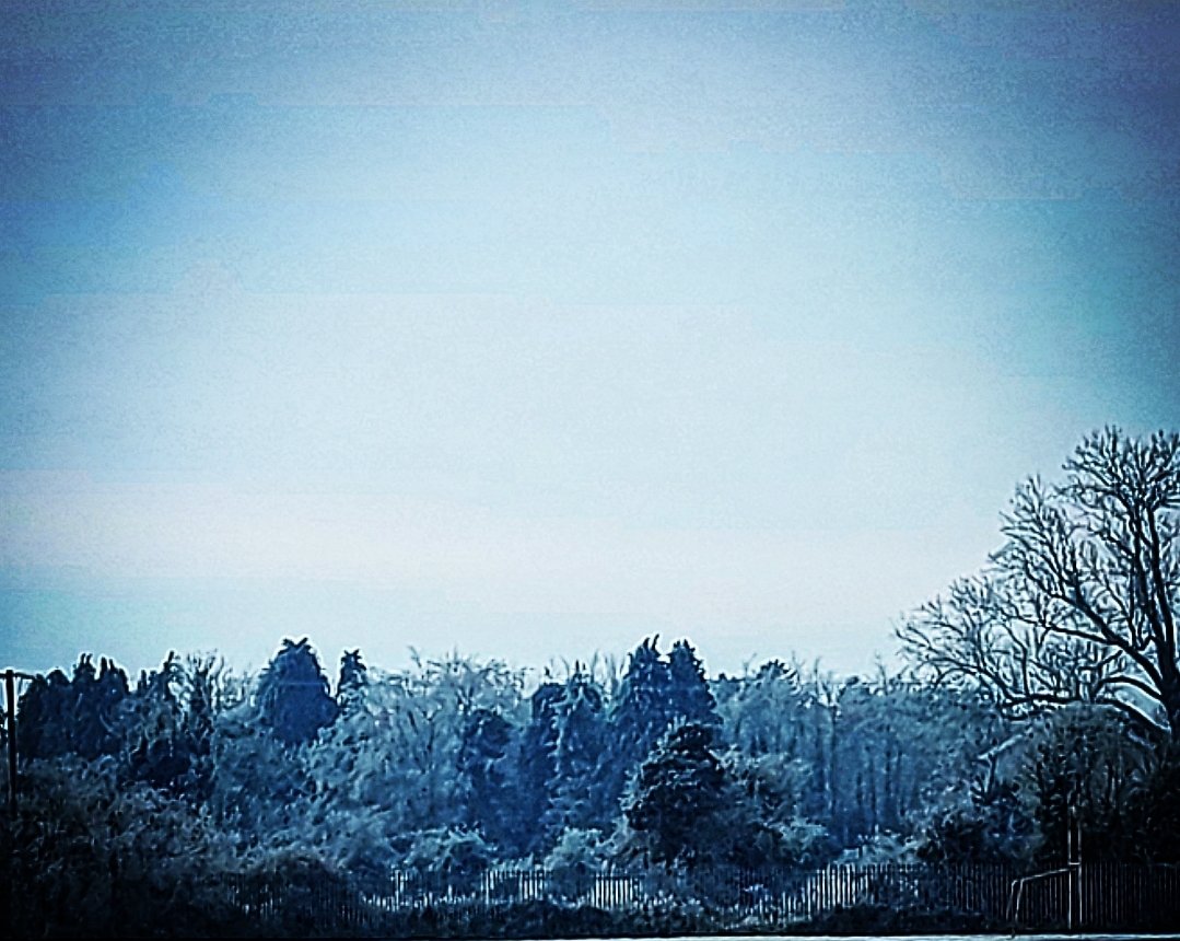 This week has been less than pleasant 😫 but at least the weather has left everything looking pretty. Silver linings and all that.

Hoping everyone is having a great  week 💙❄️

#HappyWednesday #frostymorning #photography