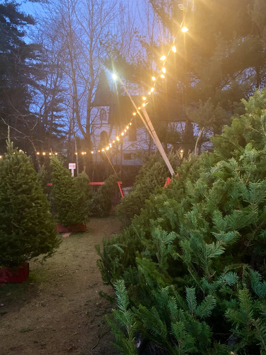 vickibowe's tweet photo. Hello, lovelies. ๐๐๐
Also, only in Nova Scotia do you buy a tree, arrange for it to be delivered tomorrow, and then the lot owner gives you a lift home because your knee is throbbing.#Harringtons https://t.co/SRLgNIST3K
