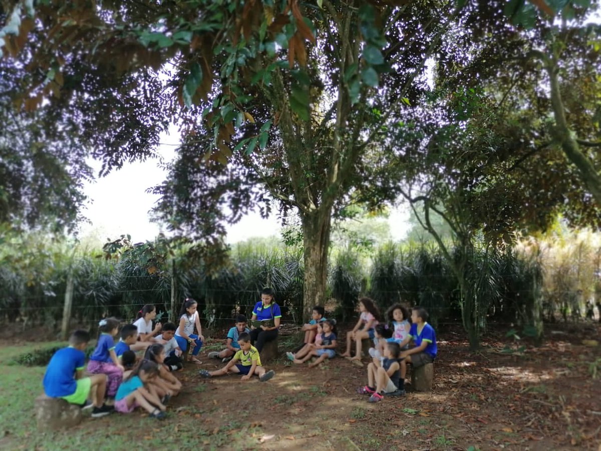 redcudicr's tweet photo. El placer de disfrutar un cuento bajo la sombra de un árbol.
Gracias niñas y niños, docentes del CAI Pasitos en San Ramón de Sarapiquí por esta "estampa", por la primera tarde de cuentacuentos de diciembre.
#REDCUDI @UNICEFCostaRica https://t.co/BcHozOGjcL