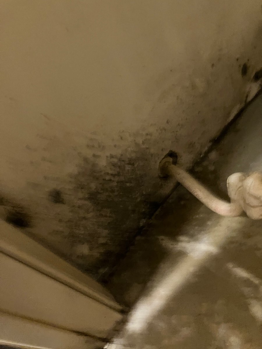 gregsnelson's tweet image. SAY CHEESE,ORANGE IS NOT THE BEST COLOR ON YOU @HillaryClinton @ParisHilton @tomsietsema @andersoncooper @FBI @MurielBowser