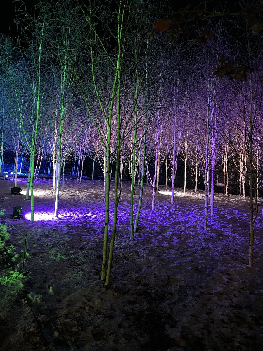 CSullivanCSP's tweet photo. Well that was gorgeous! Mulled wine, hot chocolate, chips, great company, made perfect by true life snow and frost! Lovely evening at @AngleseyAbbeyNT winter lights festival โค๏ธ ๐ ๐ โ๏ธ https://t.co/ZfsCUWr2Cm