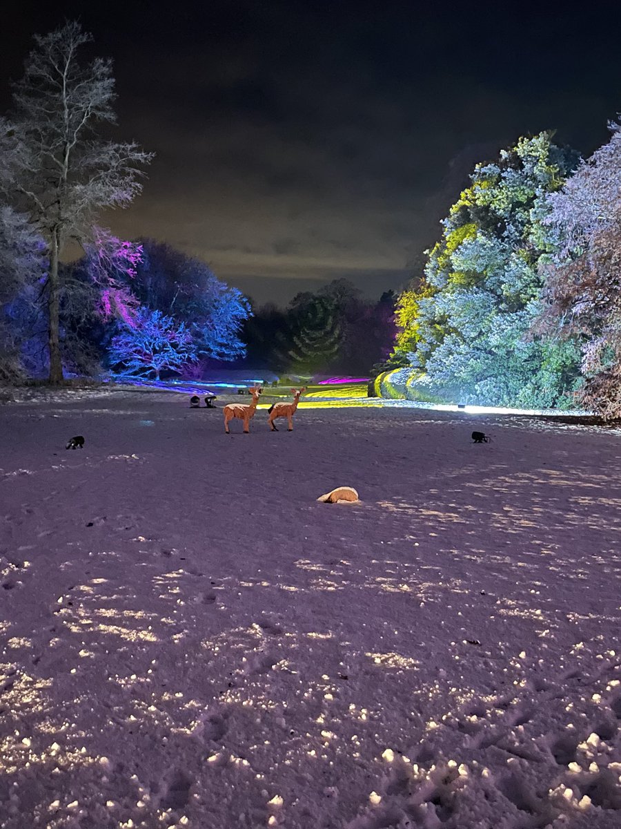 CSullivanCSP's tweet photo. Well that was gorgeous! Mulled wine, hot chocolate, chips, great company, made perfect by true life snow and frost! Lovely evening at @AngleseyAbbeyNT winter lights festival โค๏ธ ๐ ๐ โ๏ธ https://t.co/ZfsCUWr2Cm