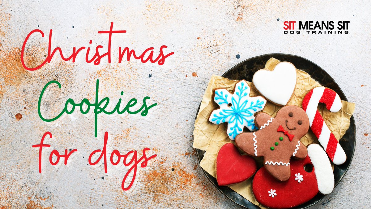 DogTraining_MI's tweet photo. DIY Christmas Cookies for Dogs | https://t.co/F2kqSqy8K8 https://t.co/JOE8mHr1vq