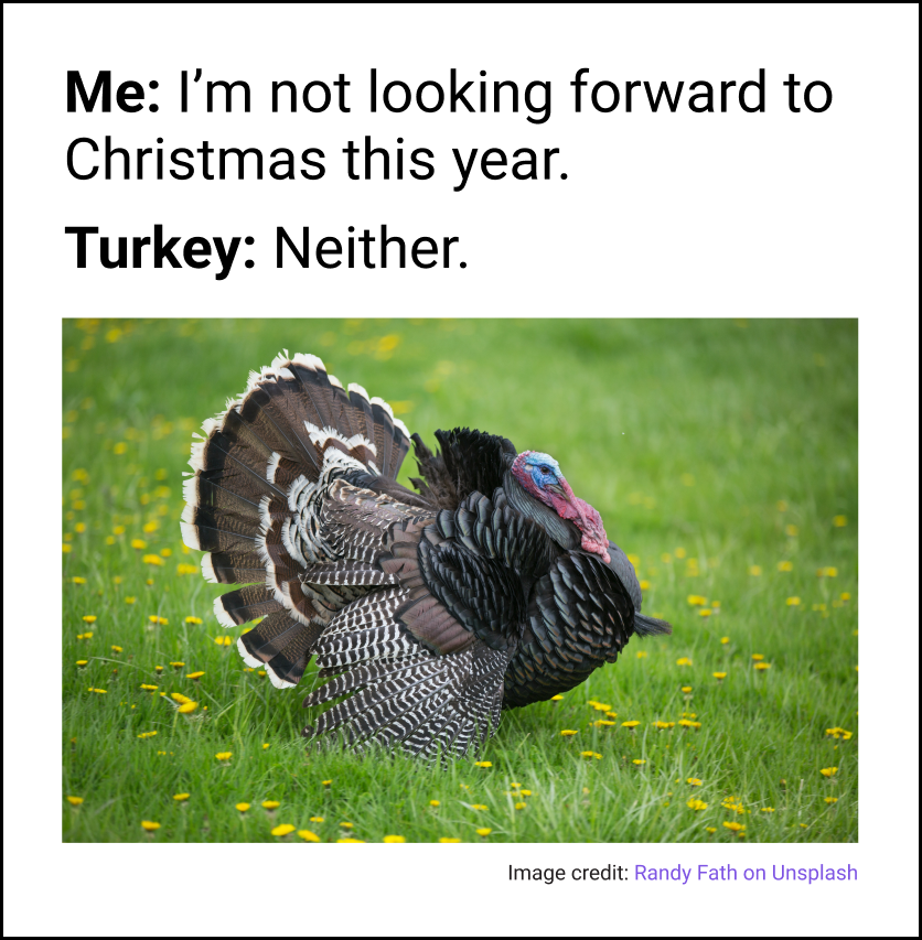 HatchInvest's tweet photo. And you thought Xmas day with the fam was stressful… 🦃 https://t.co/eg6PXIfCCS