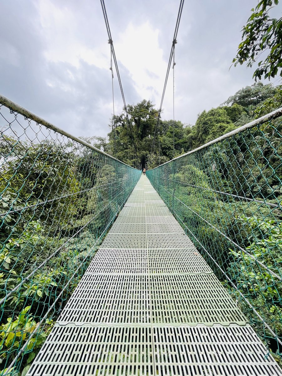 GeekyExplorer's tweet image. • 25% of territory protected
• 5% of world’s biodiversity
• 2 oceans

Costa Rica 🇨🇷 is incredible 💚