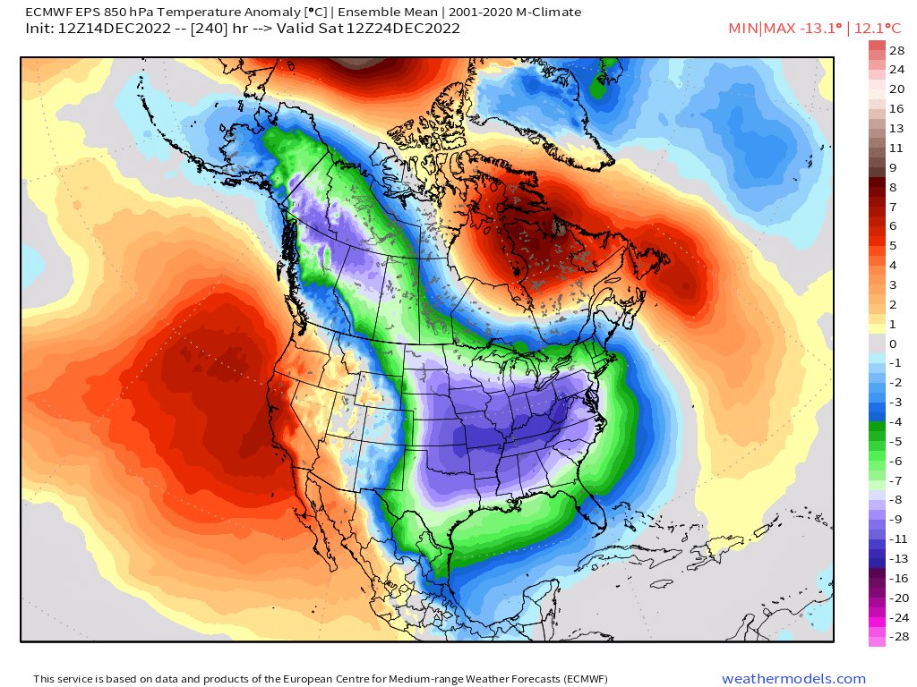 Anthony M tweet media