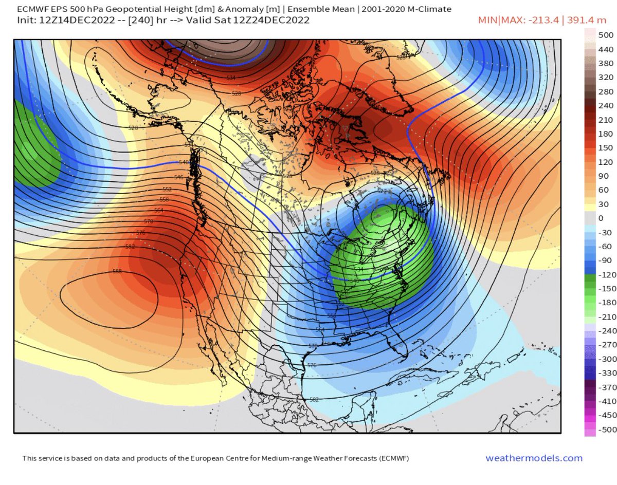 Anthony M tweet media