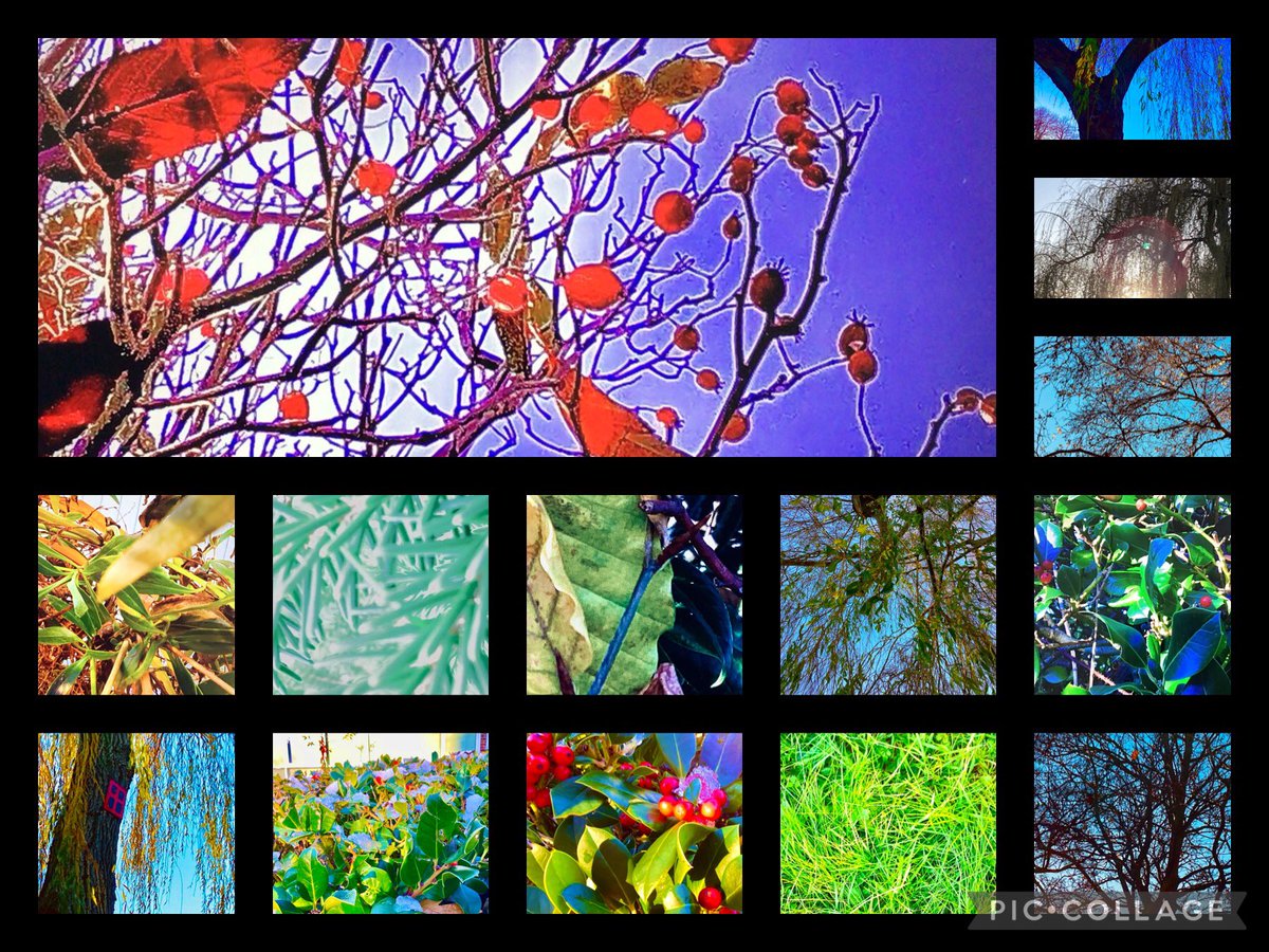 OJS_Year4's tweet photo. Computing Week. Photo editing. Selecting just a few images for a year group calendar is going to be very tricky. Some fantastic photography. #OJSComputing https://t.co/n8ciuAlSV1