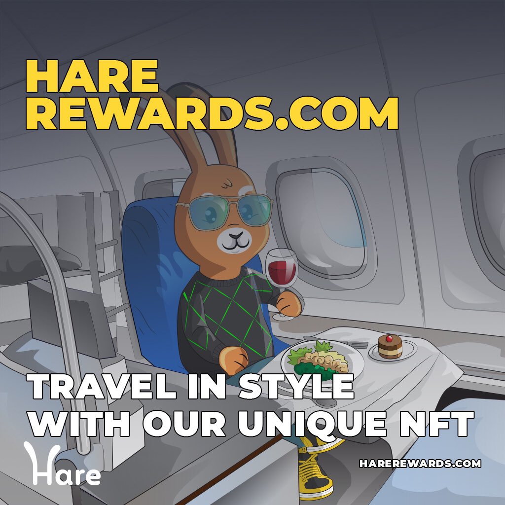 Hare Travel tweet media