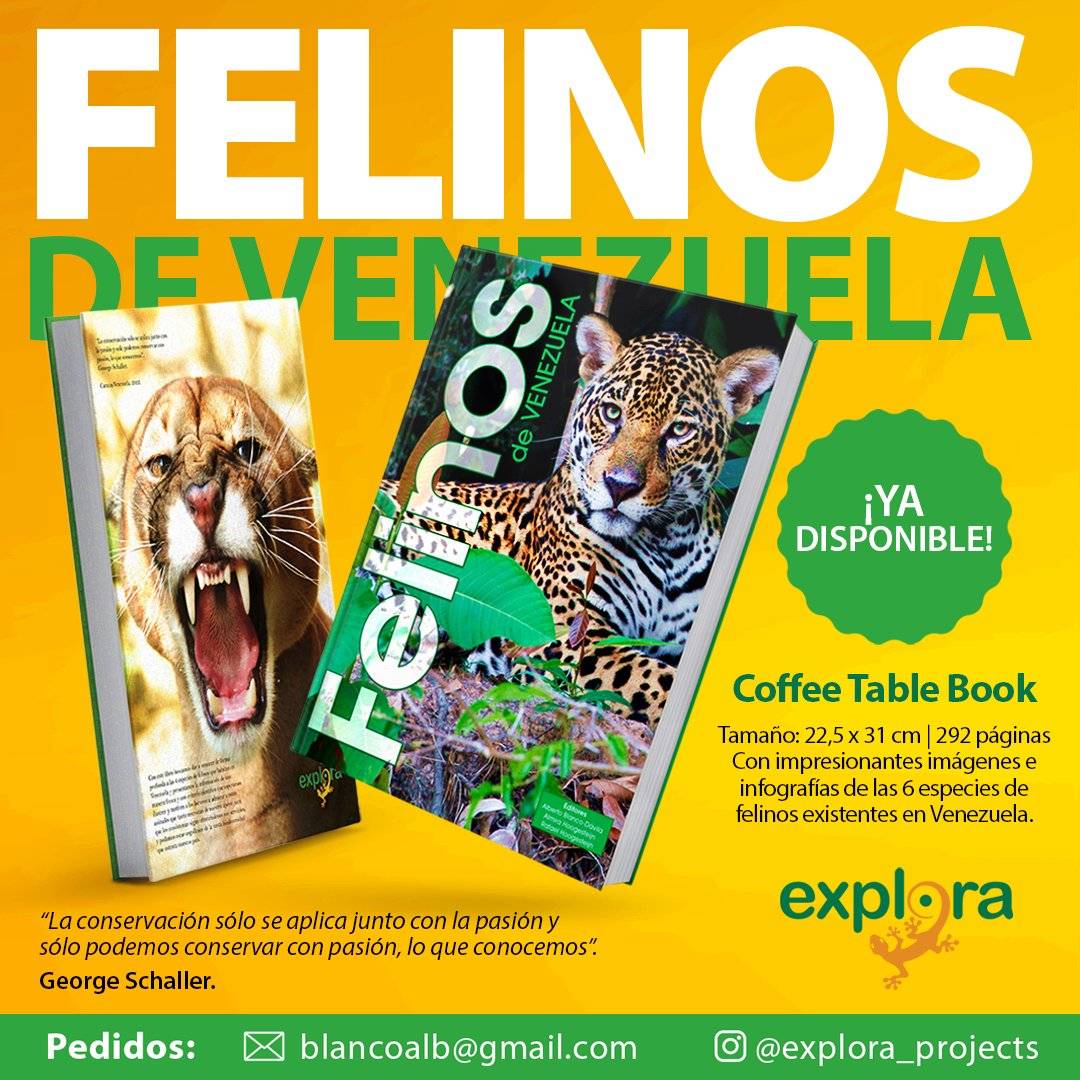 Fundación Tierra Viva on Twitter: Fundación Tierra Viva on Twitter: