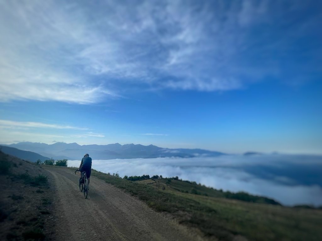 allegaert kristof tweet media