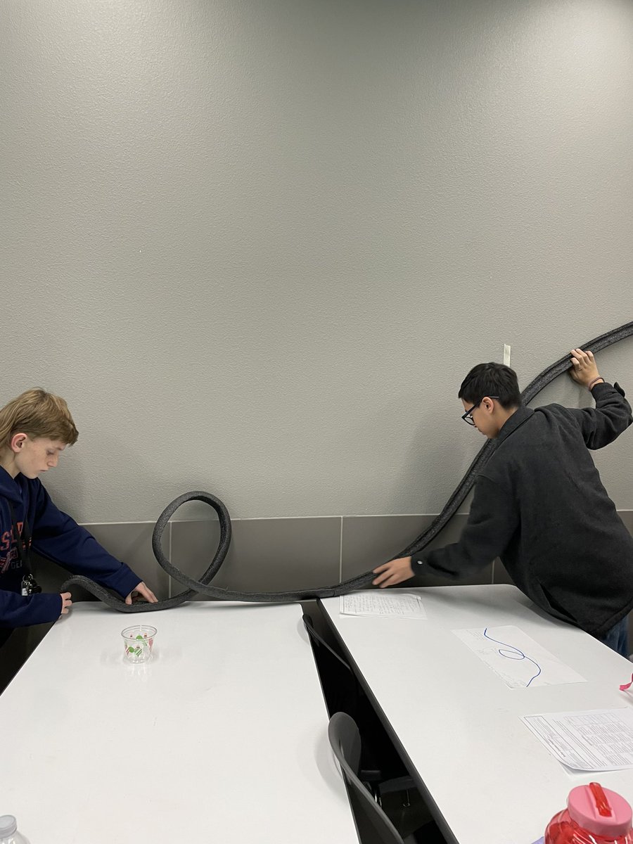 Kelli Shelly tweet media