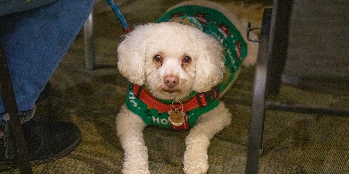 Sacramento State tweet media