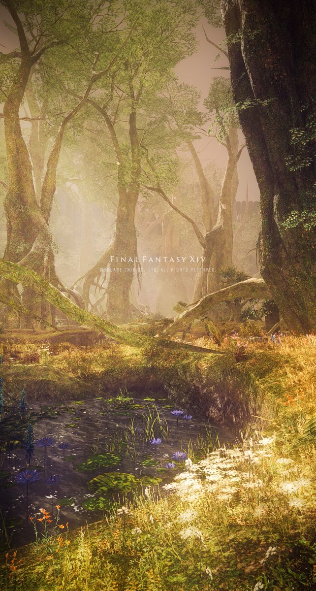 hygge1220's tweet photo. 雲雀唄う森／Larkscall
#FF14風景 #XIV_PICTCLIP https://t.co/MfDtcyfoBq